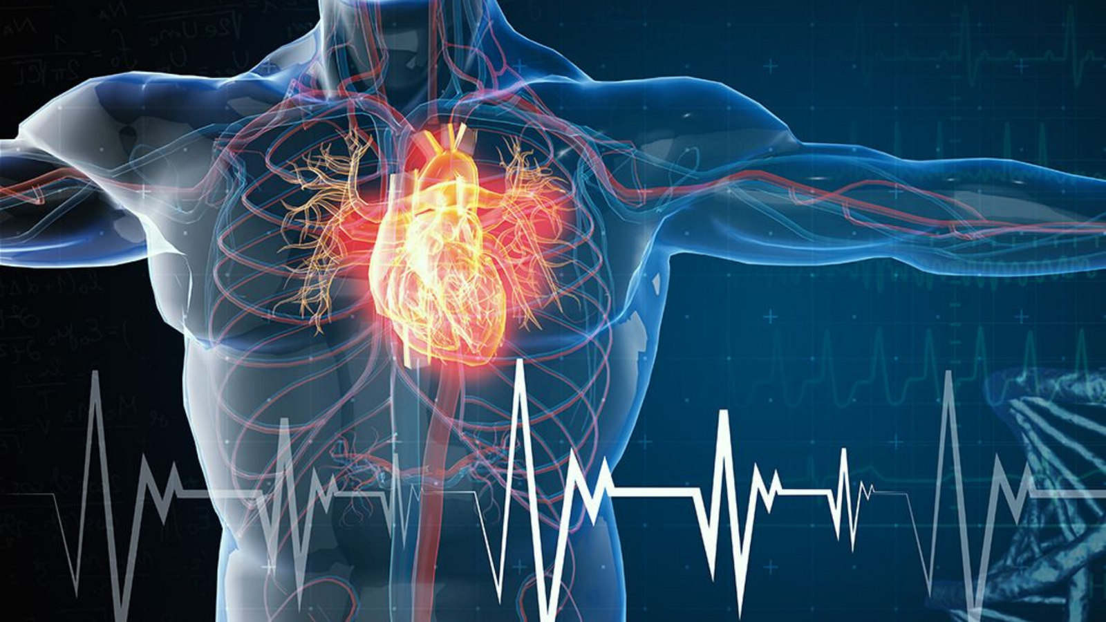 Cardiovascular Diseases